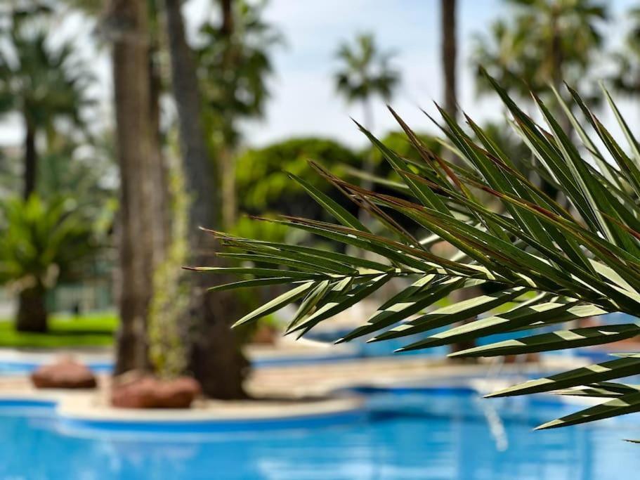 Apto. Tobago, Vistas Y Urbanizacion De Ensueno El Campello Εξωτερικό φωτογραφία